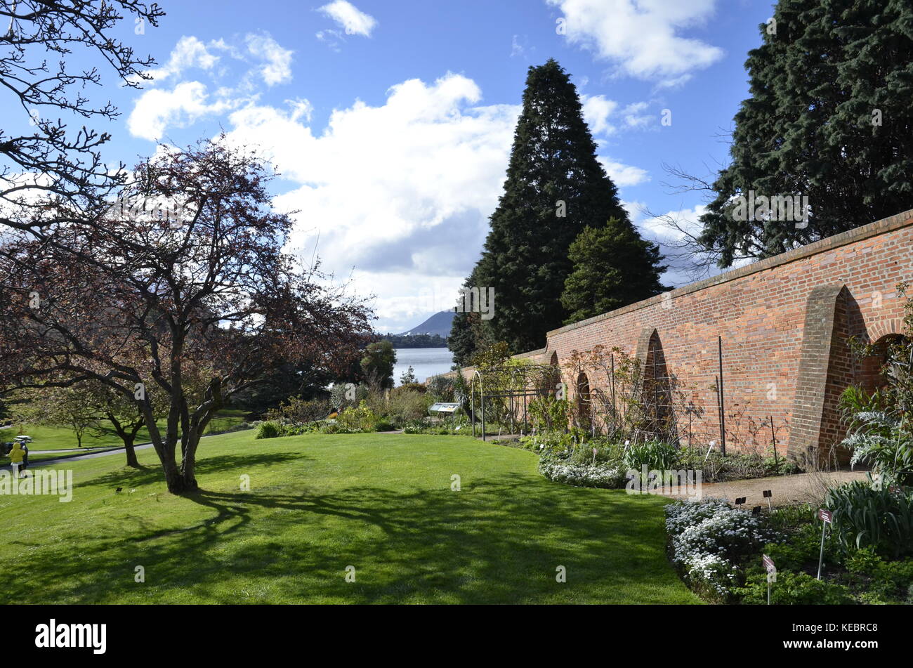 Hobart Botanical Gardens, Tasmania, Australia Stock Photo