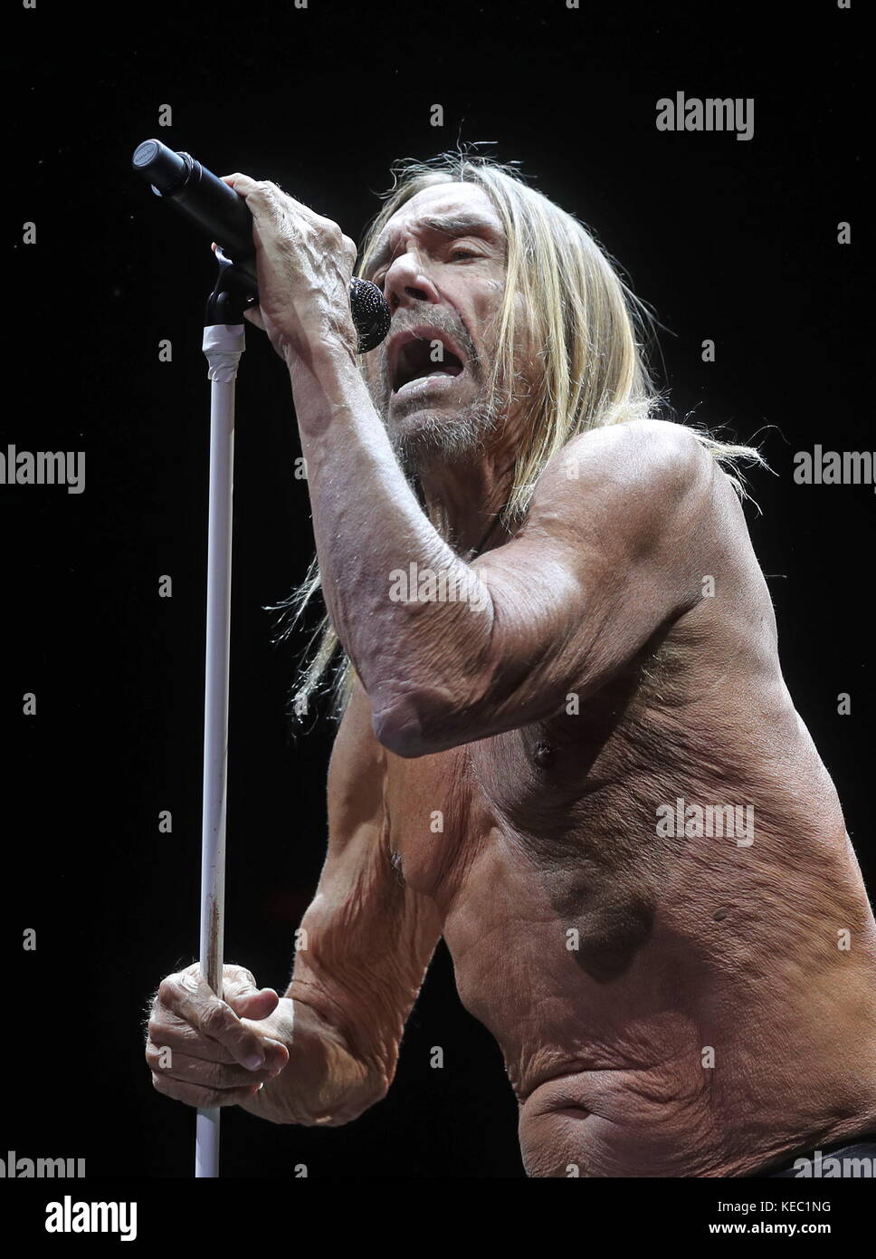 Moscow, Russia. 19th Oct, 2017. American punk rock musician Iggy Pop gives  a concert in Moscow's Stadium Live in support of his latest album titled  "Post Pop Depression". Credit: Artyom Korotayev/TASS/Alamy Live