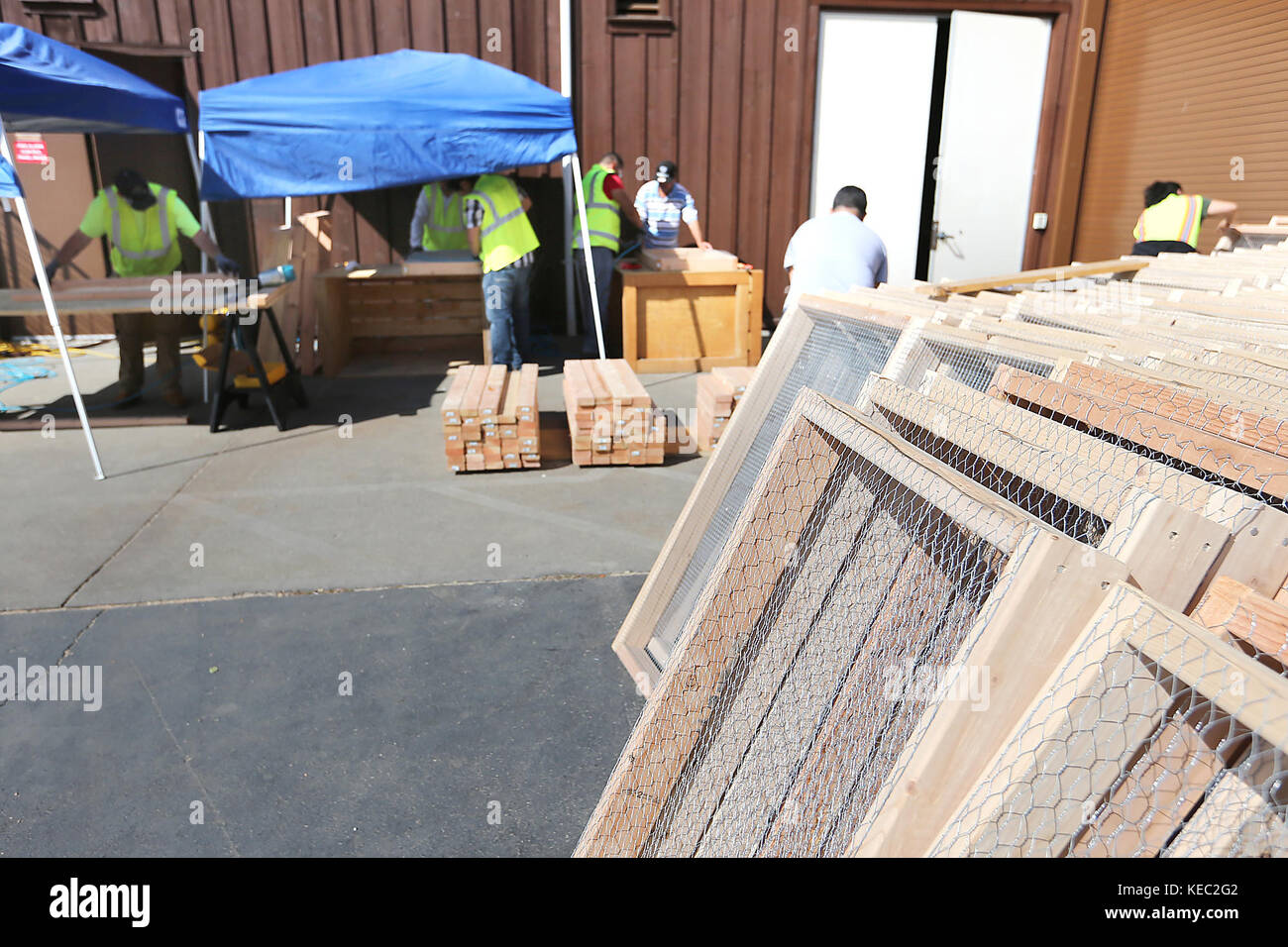 Rutherford, CA, USA. 19th Oct, 2017. Mumm Napa employees were busy ...