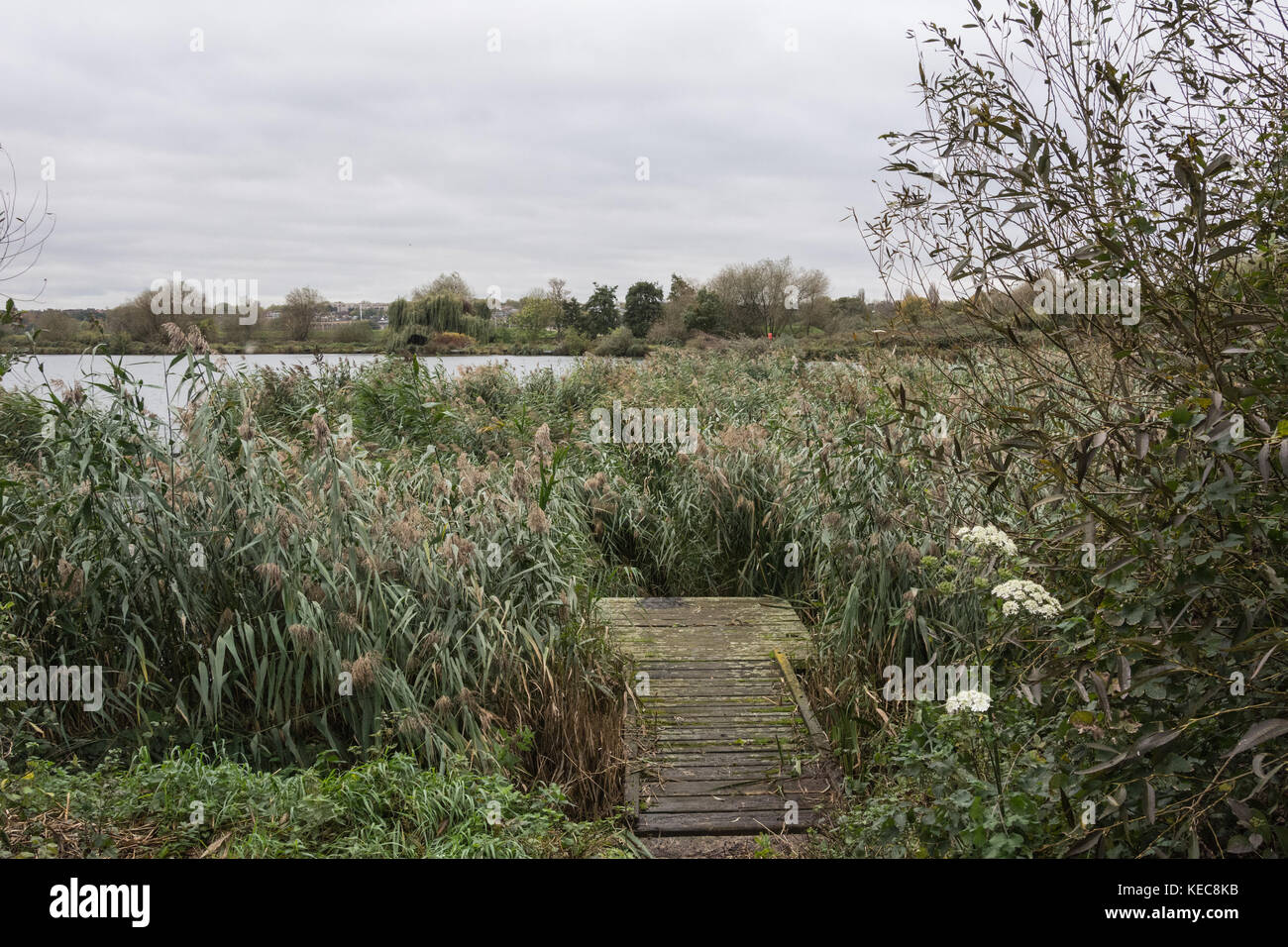 Walthamstow Wetlands, one of Europe’s largest urban wetlands and a fully operational reservoir. It provides drinking water for 1.5 million people, as well as providing shelter to abundant urban wildlife. Credit: Patricia Phillips/ Alamy Live news Stock Photo