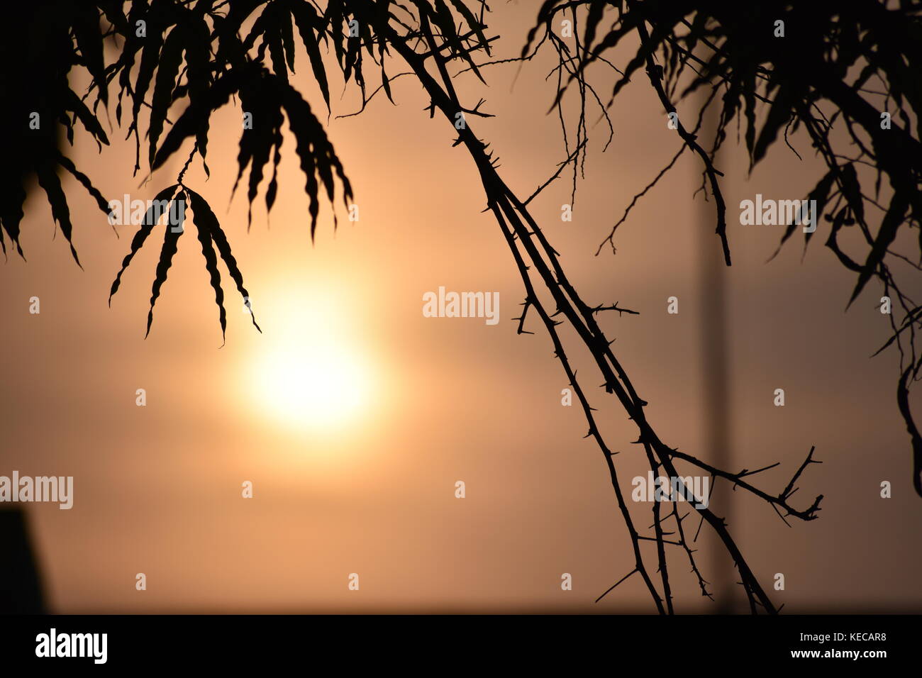 Hd sun wallpaper hi-res stock photography and images - Alamy