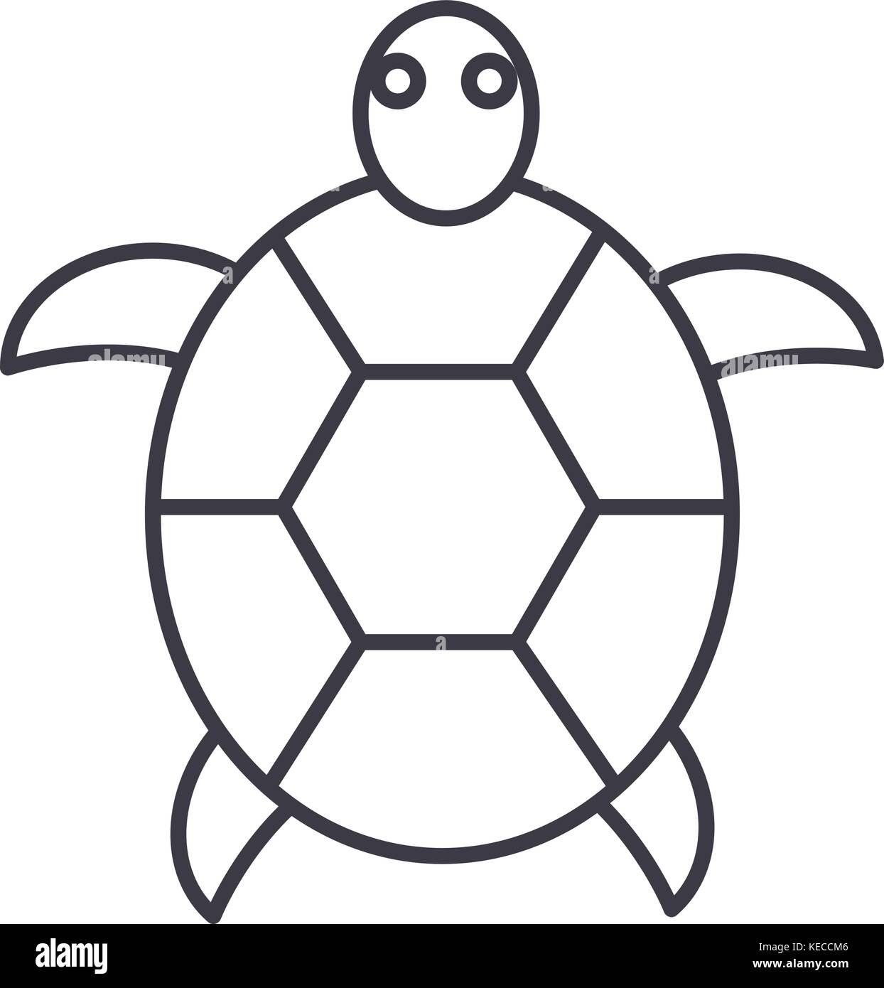 turtle vector line icon, sign, illustration on background, editable ...