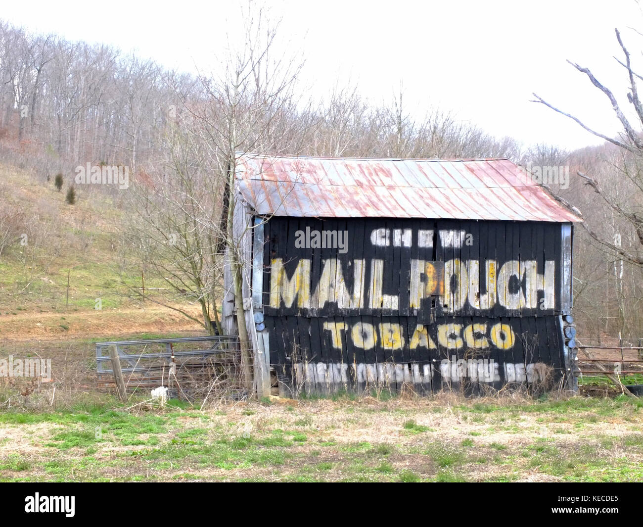 Tobacco advertising on a barn in East Kentucky Stock Photo Alamy