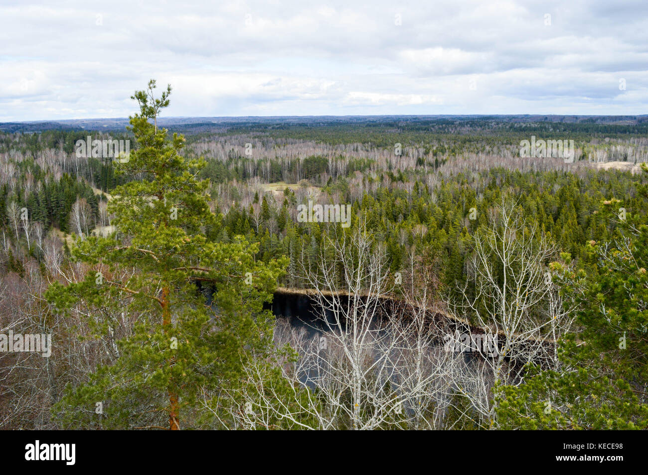 Latvia Nature Reserve High Resolution Stock Photography And Images Alamy