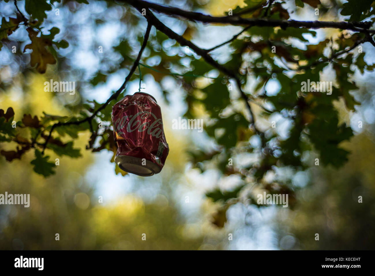 Rubbish in a Woodland Landscape, Oxford, UK Stock Photo Alamy