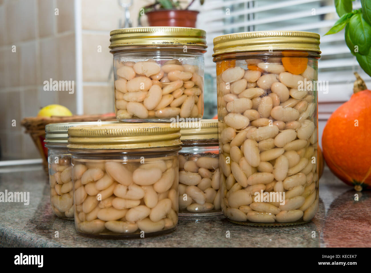 jars of delicious white the french Tarbais beans Stock Photo - Alamy