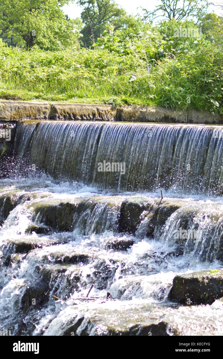Leaves in a waterfall close up hi-res stock photography and images - Alamy