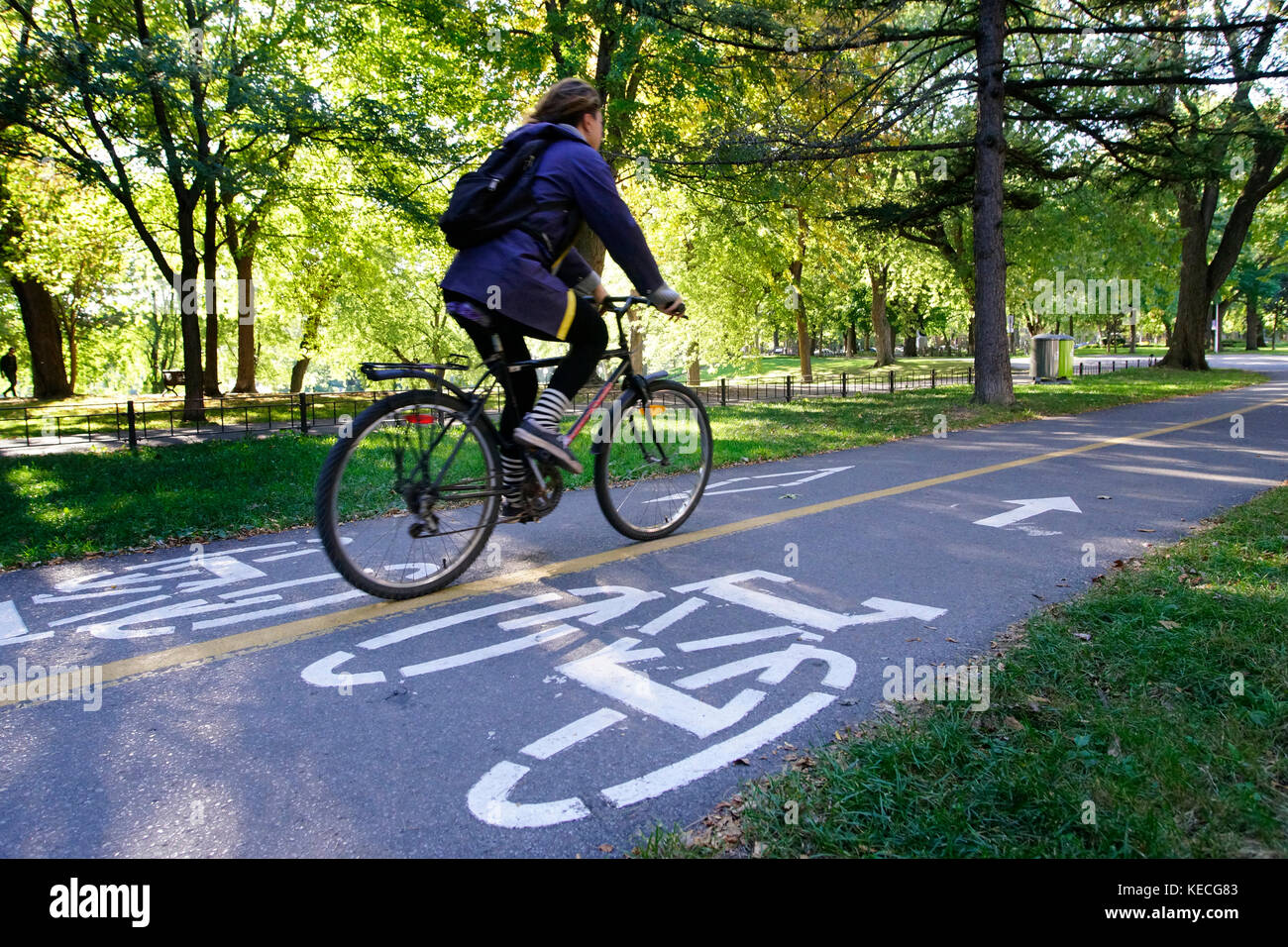 Bike Lane Near Me Montreal Bike Path Hi-Res Stock Photography And Images - Alamy