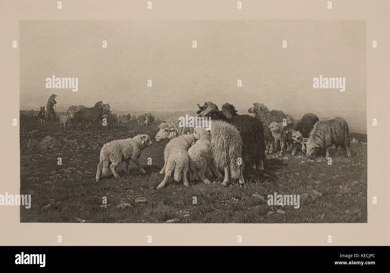 In the Stubble Fields, Photogravure Print from the Original Painting by August Friedrich Albrecht Schenck, The Masterpieces of French Art by Louis Viardot, Published by Gravure Goupil et Cie, Paris, 1882, Gebbie & Co., Philadelphia, 1883 Stock Photo