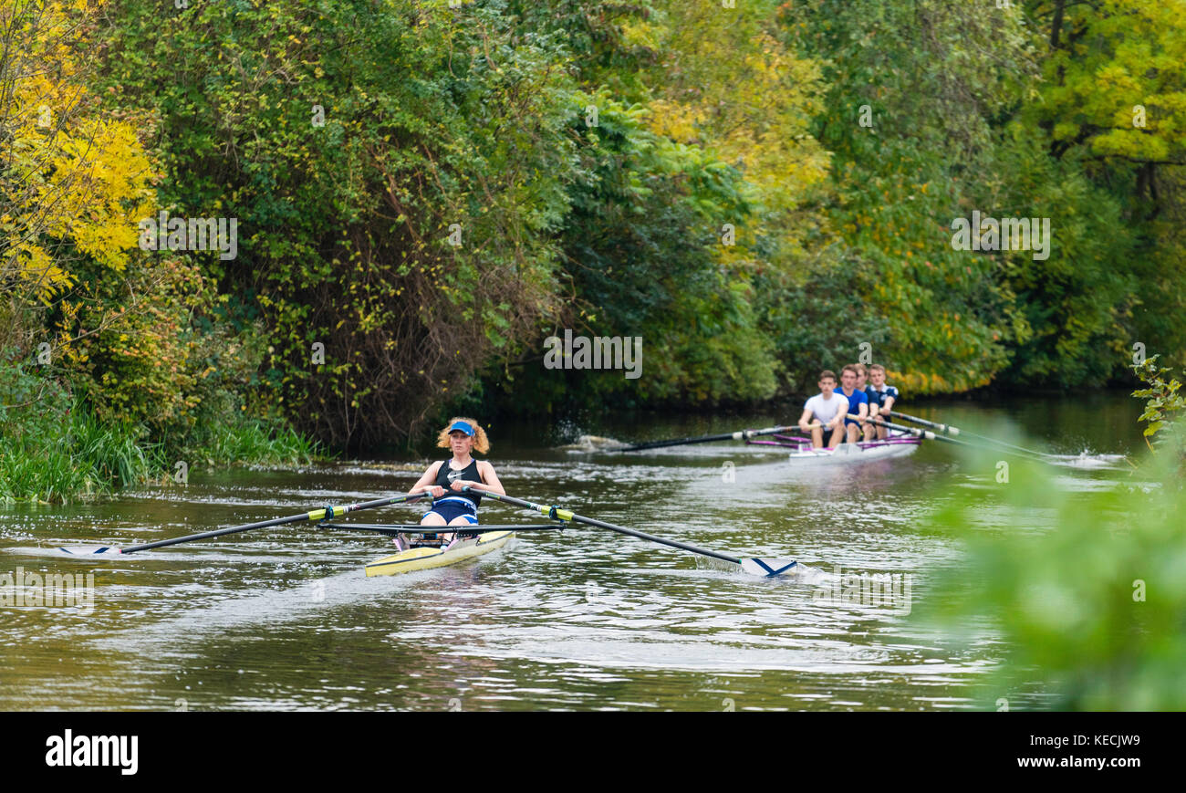 Student rowers rowing on Union Canal in central Edinburgh, Scotland, United Kingdom Stock Photo