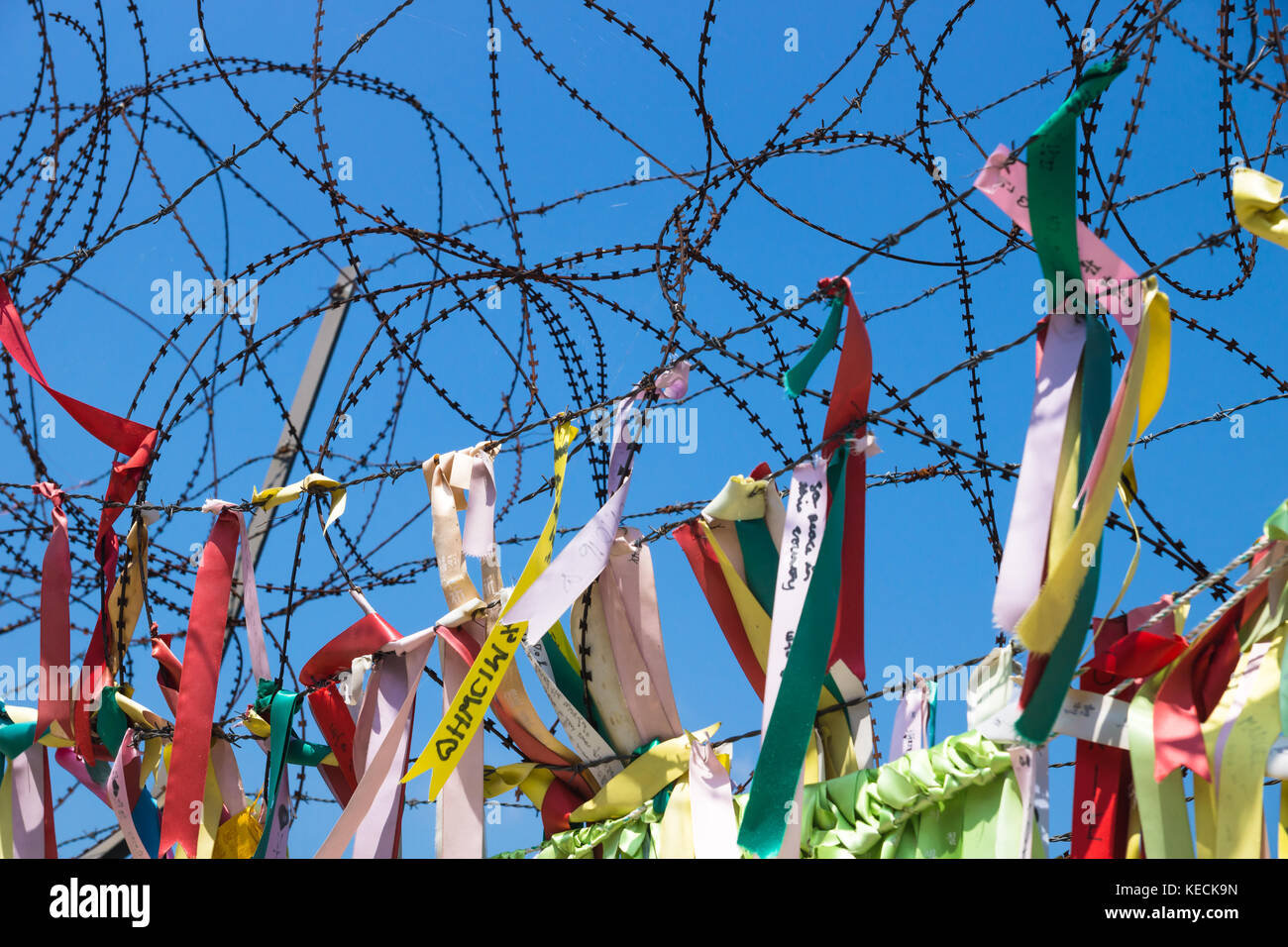 Ribbons tied at barbed wire at a fence at the demilitarised zone DMZ at ...