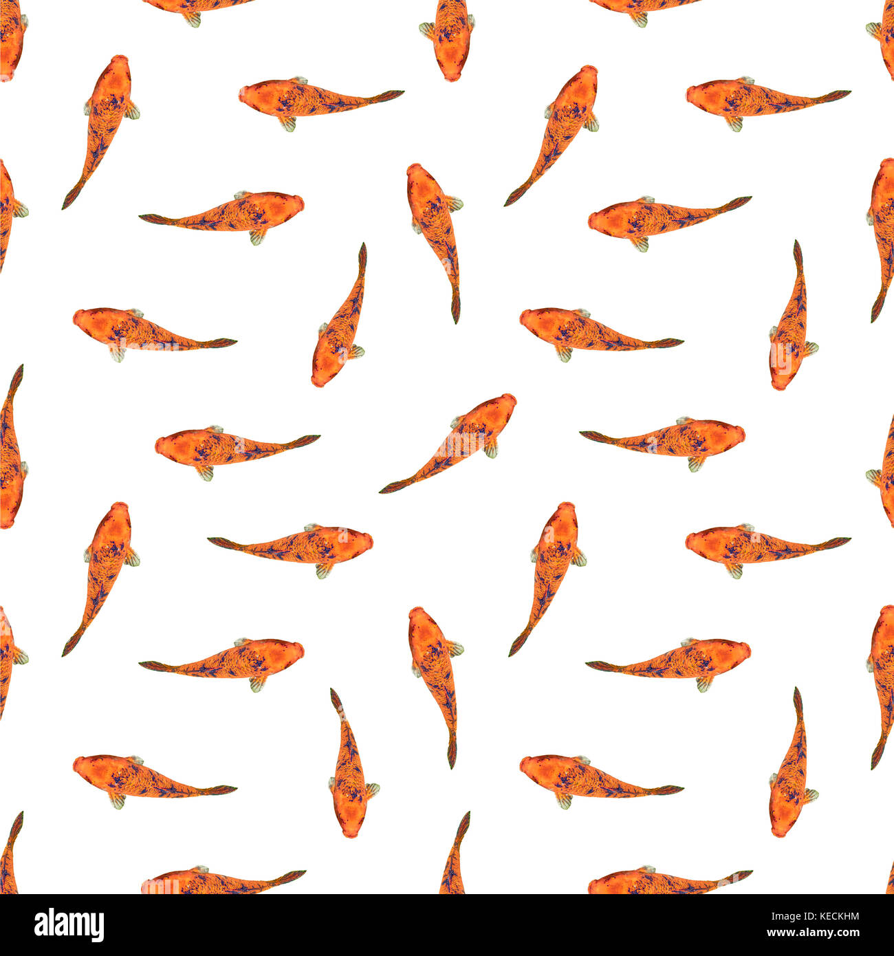 Conversational seamless pattern design with koi fishes motif Stock Photo