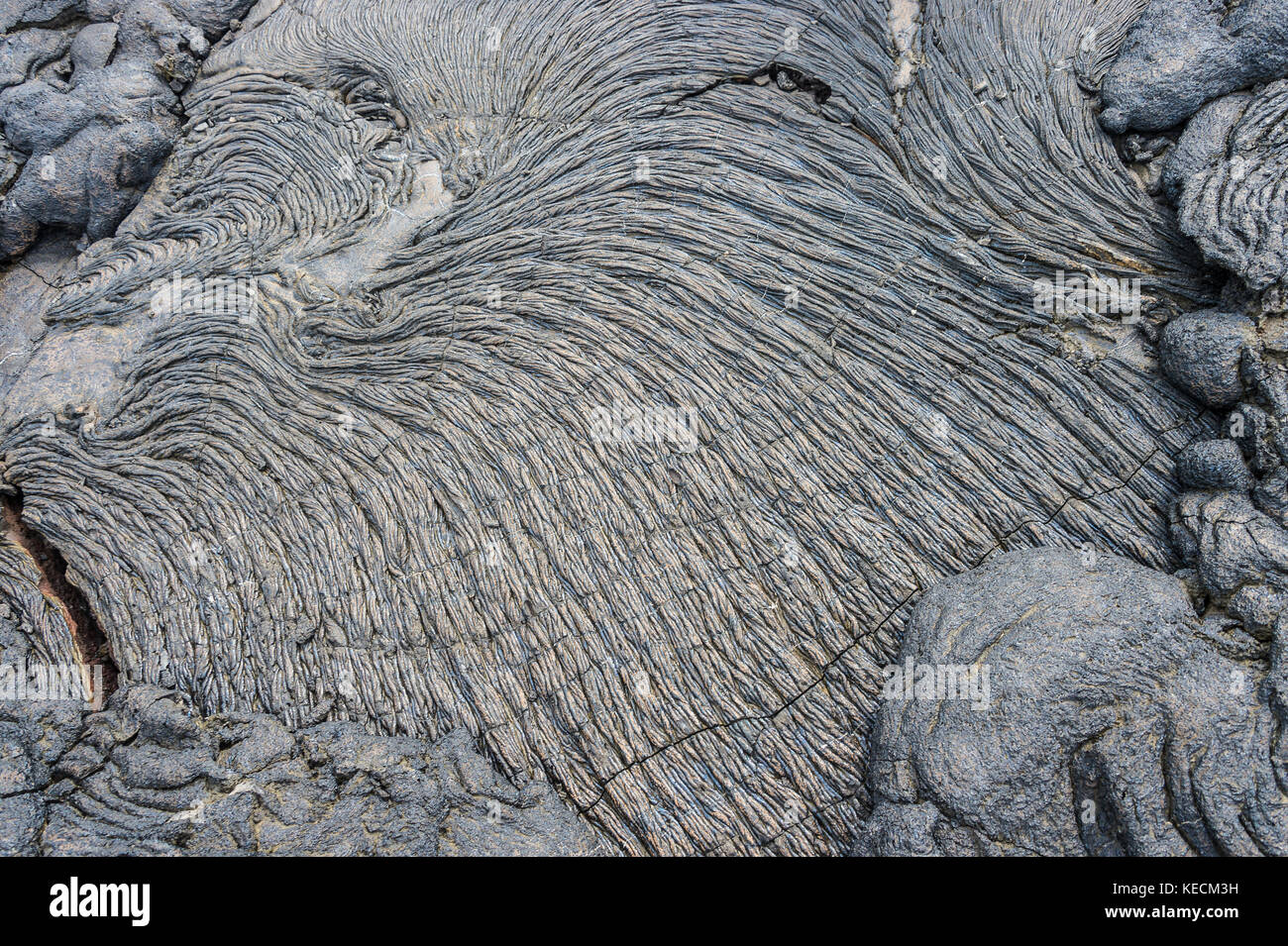 Pahoehoe or rope lava, on Rabida Island, Galapagos. It is formed of ...