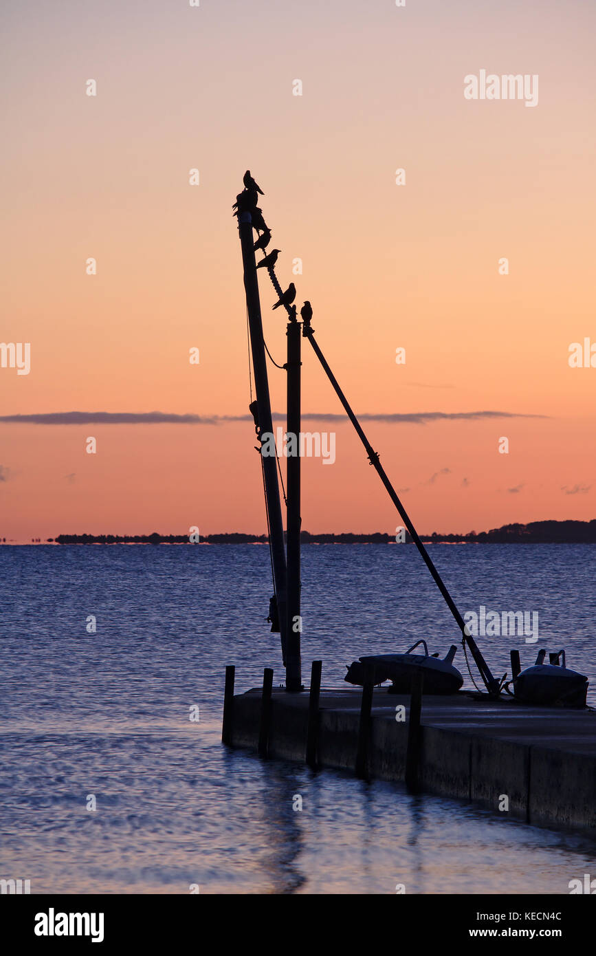 Pier before sunrise with birds sitting on a small crane silhouetted against the red morning sky Stock Photo