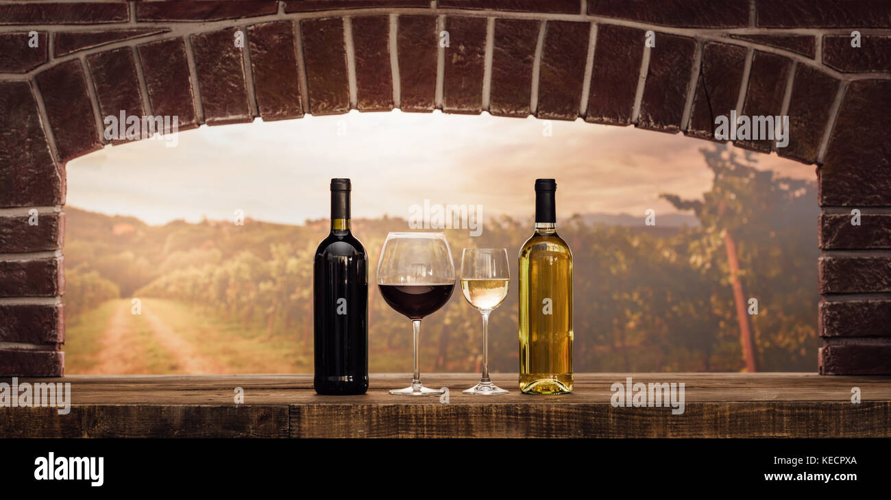 Wine tasting in the wine cellar red and white wine bottles, wine