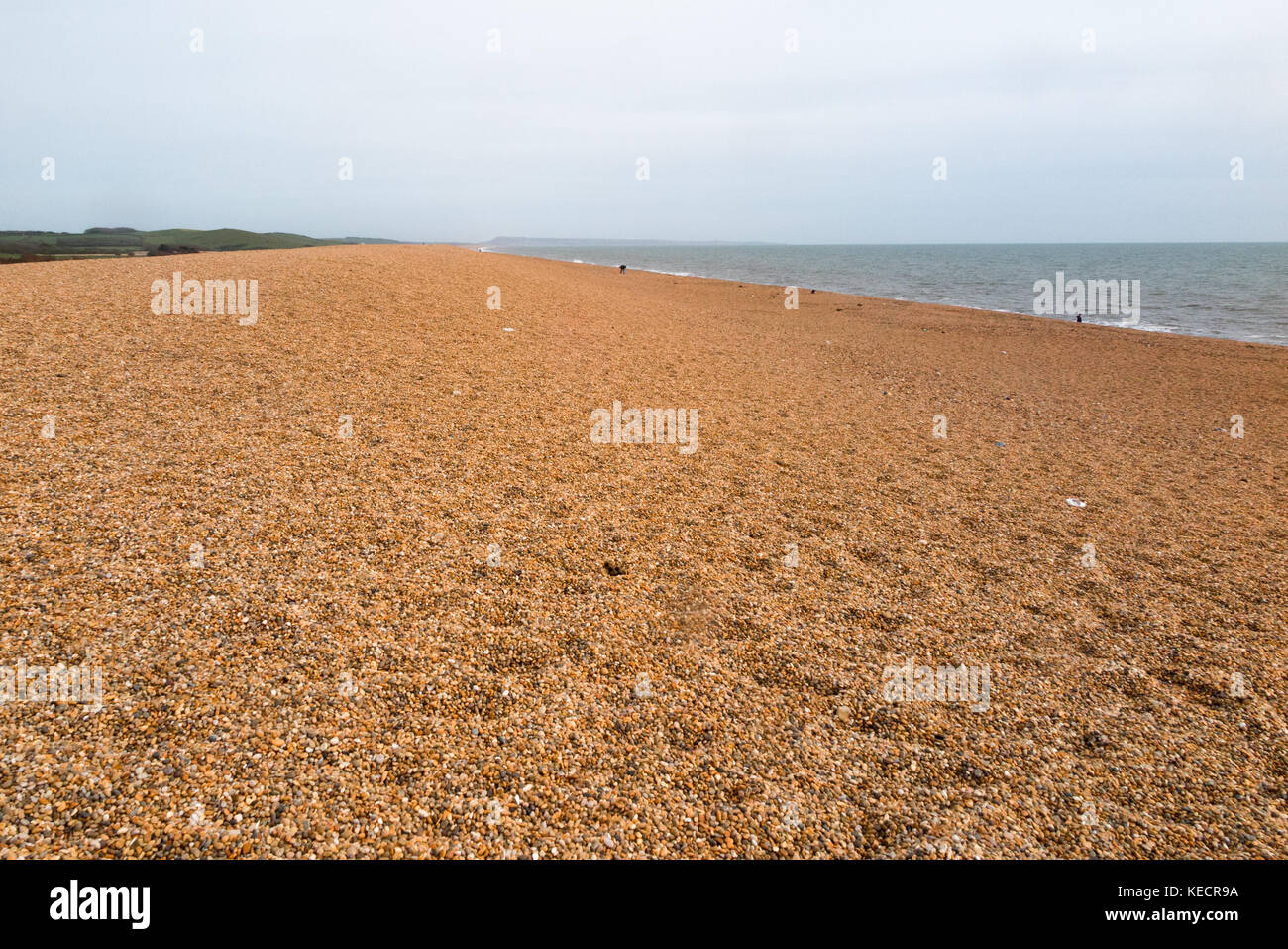 A view of Chesil Beach Stock Photo Alamy