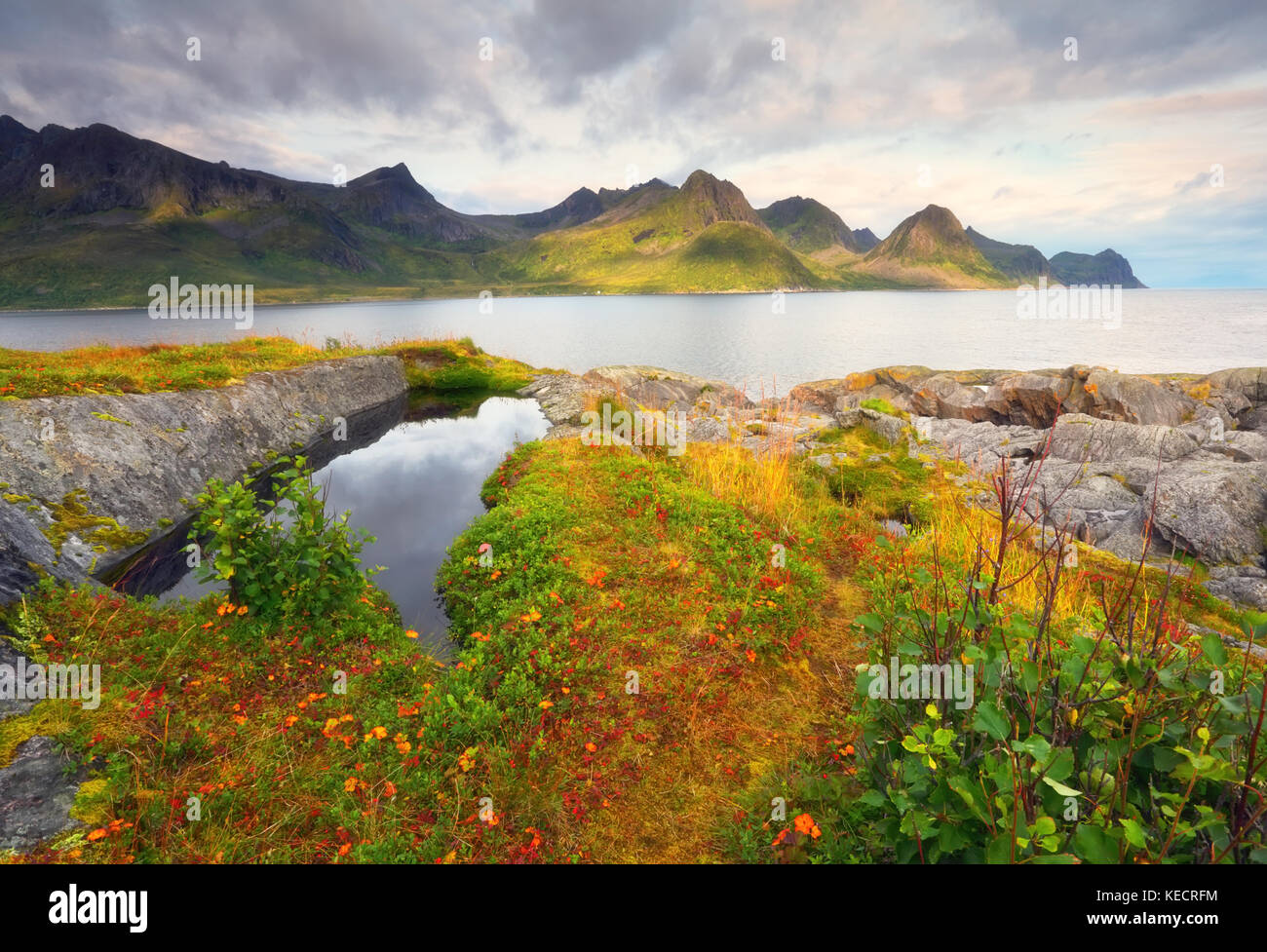 Autumn day in Norway. Colorful fjord shore with red foliage on sunny autumn day. Stock Photo