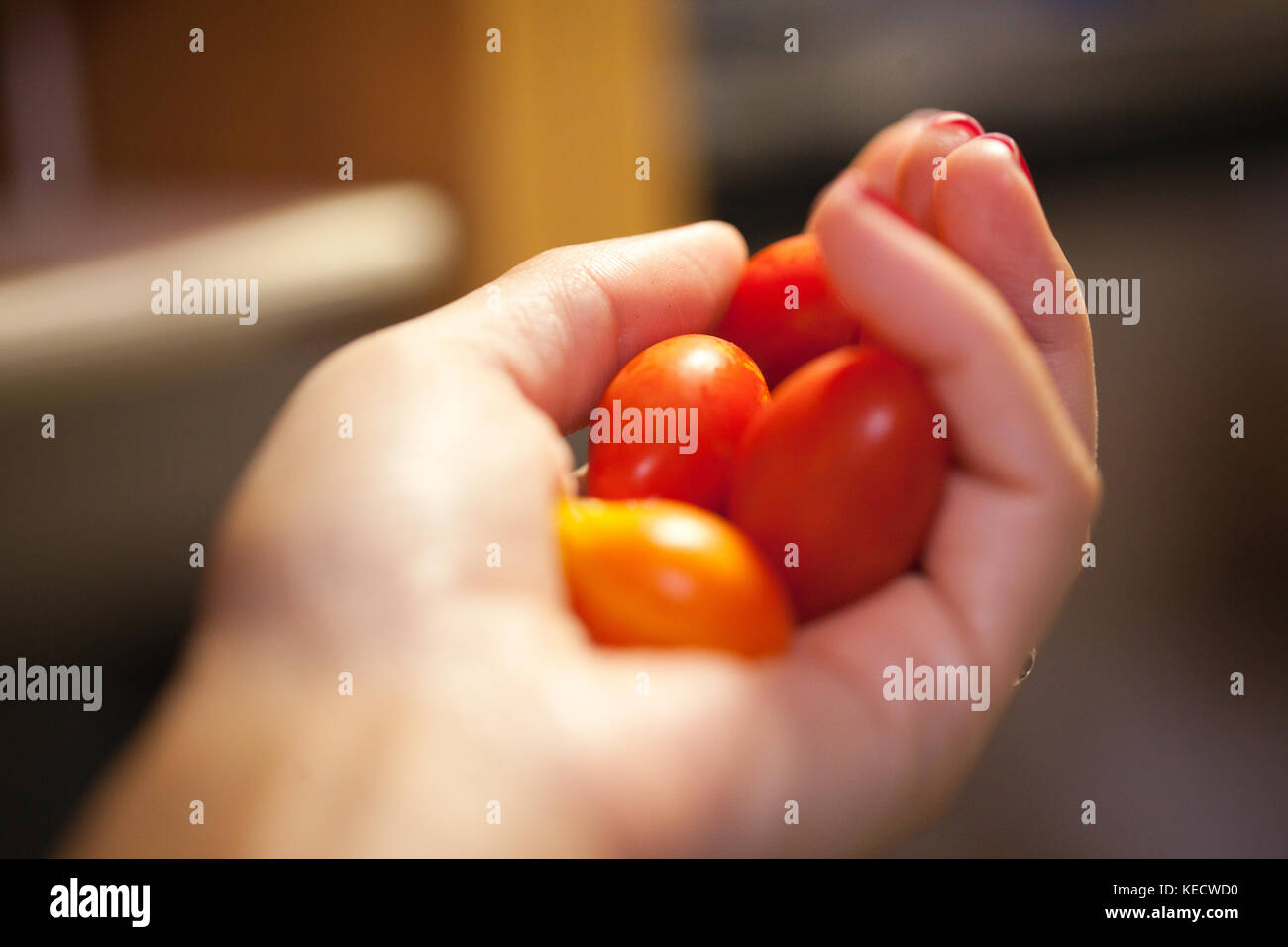 woman hand holding cherry tomatoes Stock Photo - Alamy