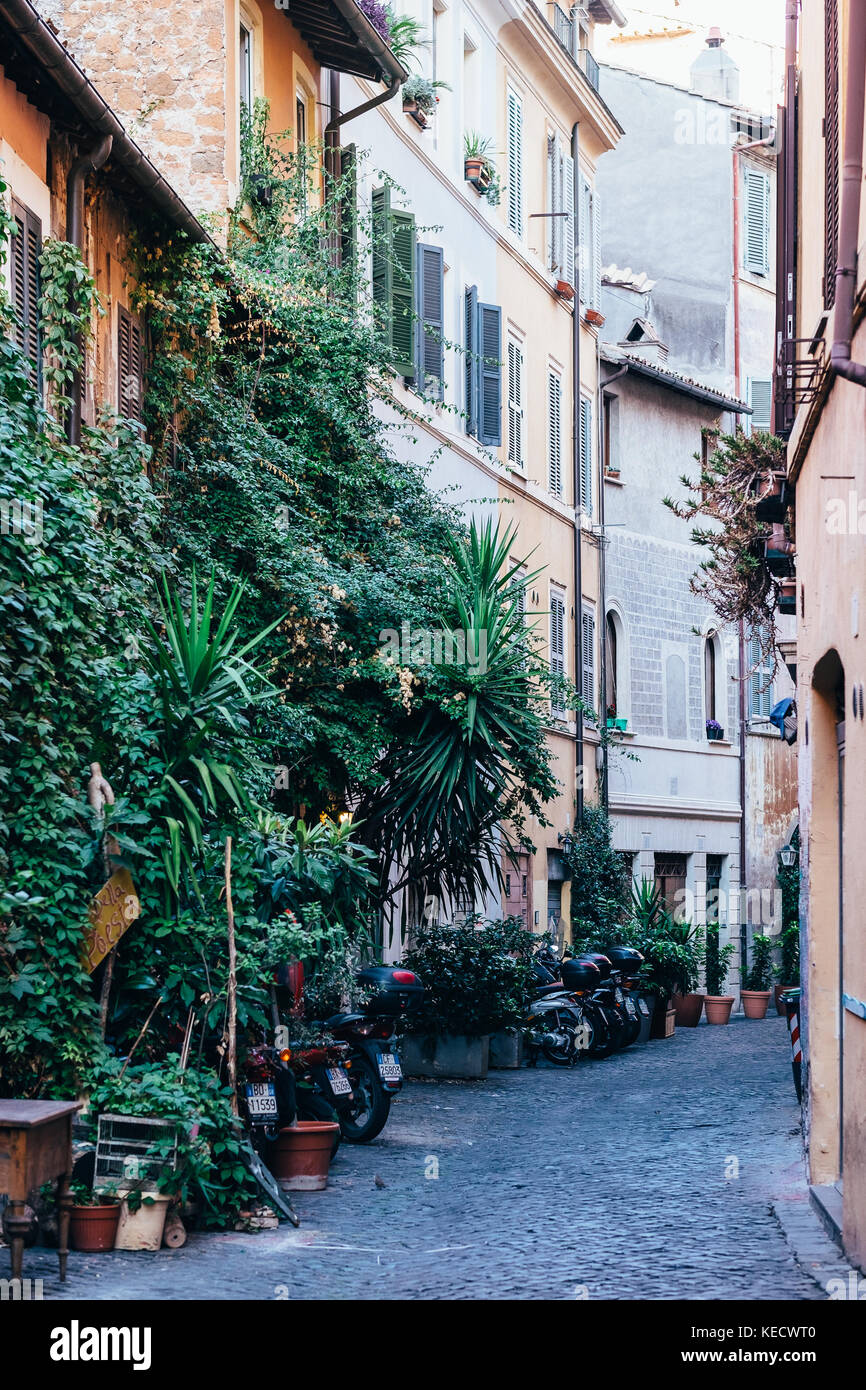 Via dei cappellari, a greenerylined street in Rome, Italy's historic