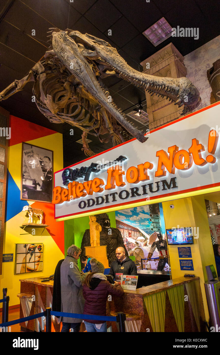 Ripley's believe it or not curiosities NYC Stock Photo - Alamy