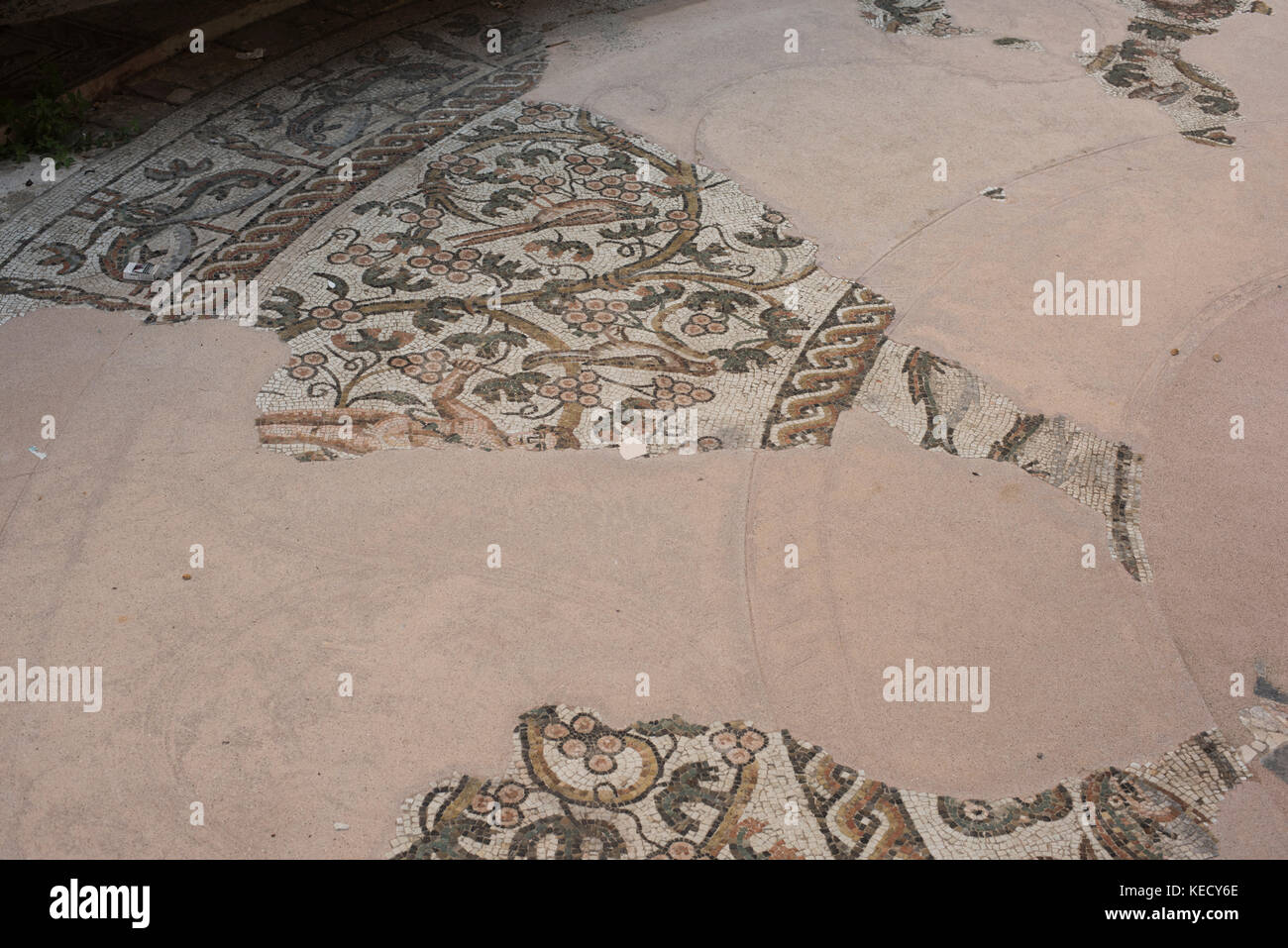 Ancient roman mosaic floor hi-res stock photography and images - Alamy