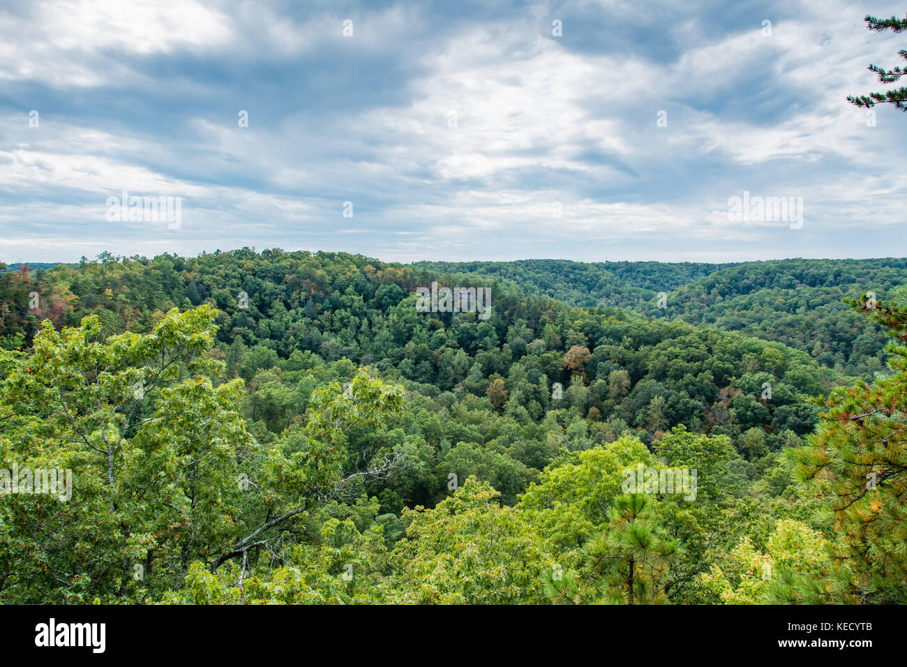 Natural Bridge State Resort Park in Kentucky USA Stock Photo Alamy