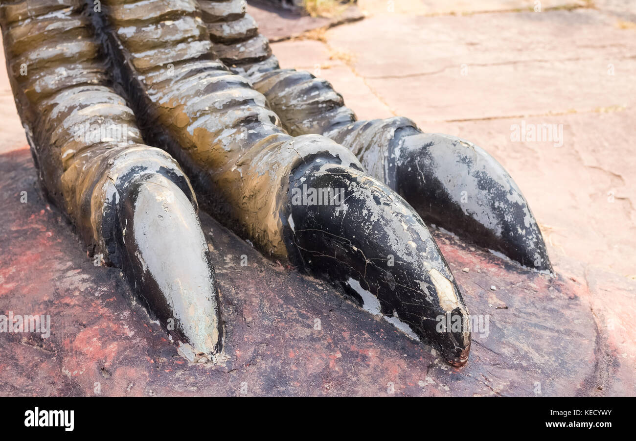 dinosaur foot Stock Photo