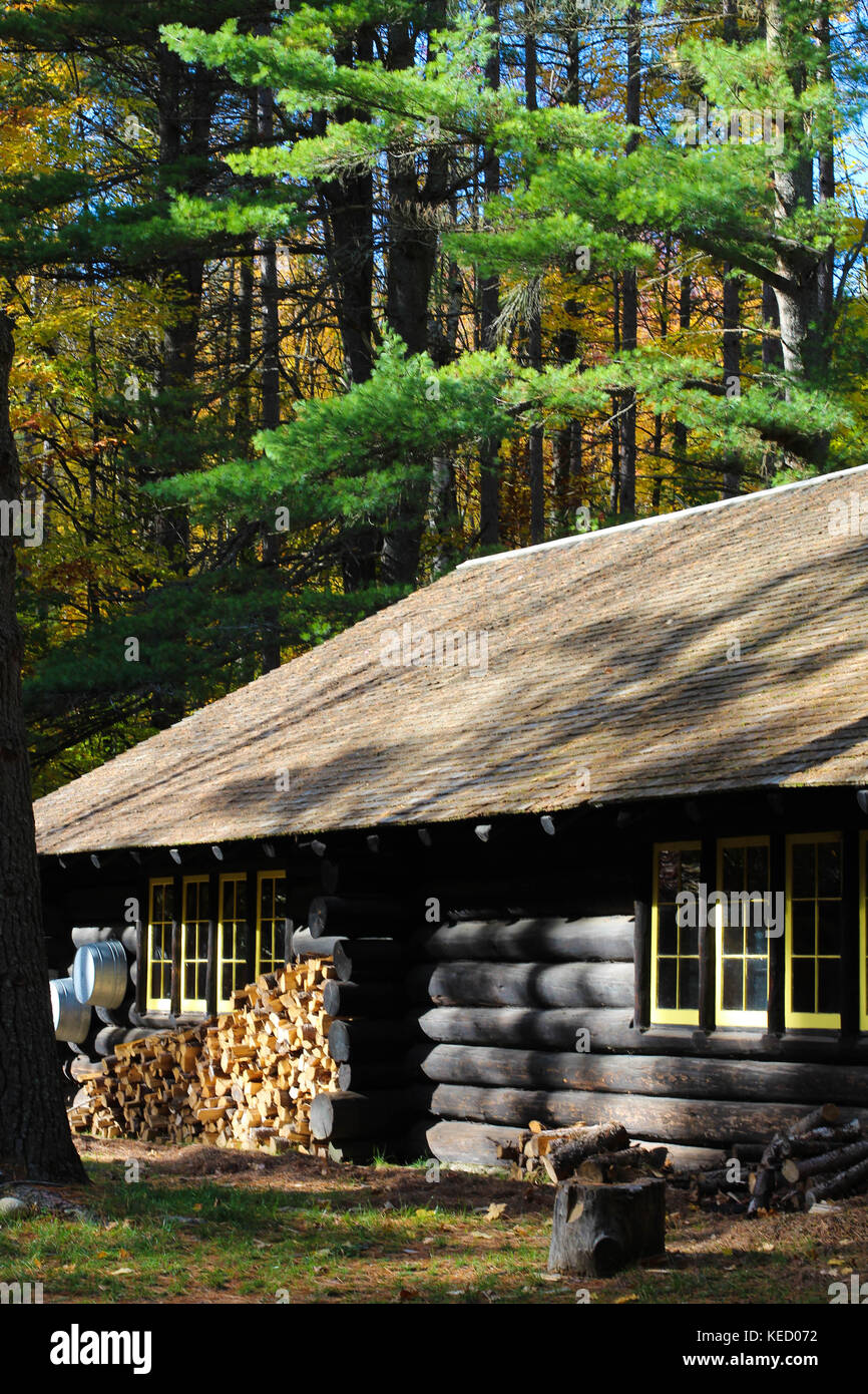 A Beautiful Log Cabin In The Woods Surrounded By Nature In