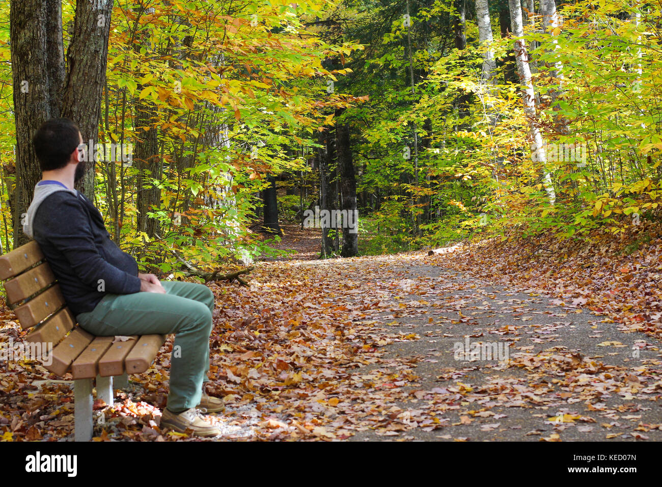 A man enjoys a nature walk in Northern Michigan in October surrounded by beautiful fall colors and the changing leaves Stock Photo