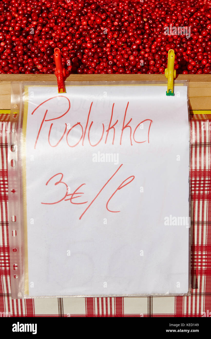 Fresh finland cowberry in the street market. Traditional finnish fruit Stock Photo