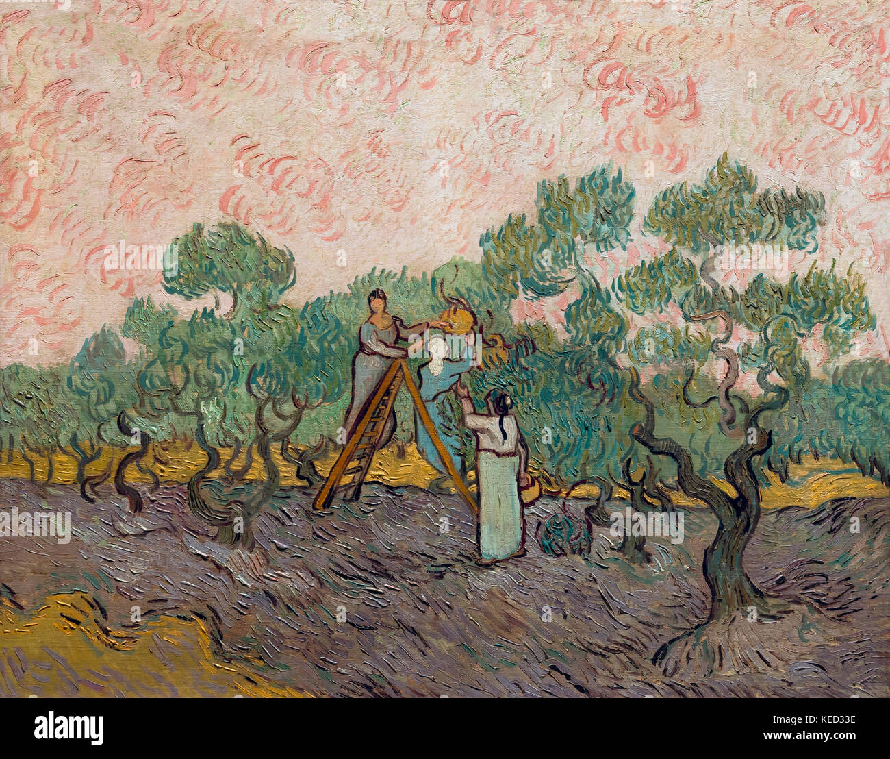 Women Picking Olives, Vincent van Gogh, 1889, Metropolitan Museum of Art, Manhattan, New York City, USA, North America Stock Photo