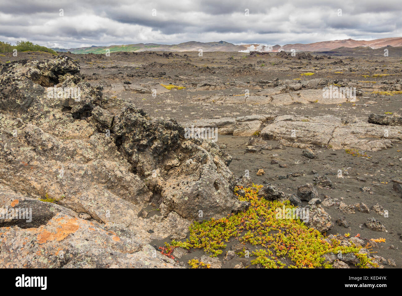 Rocky Dimmuborgir area near Myvatn lake - Volcanic landscape, Iceland. Stock Photo