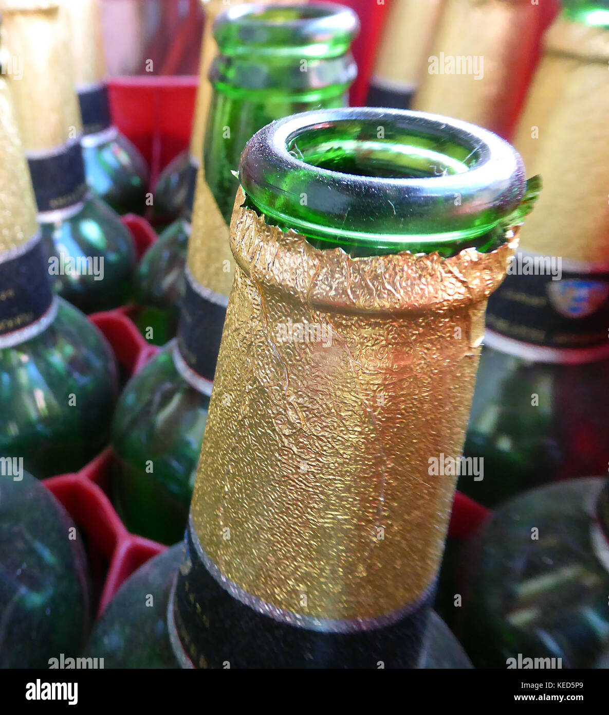 Green Beer bottles in a crate Stock Photo Alamy