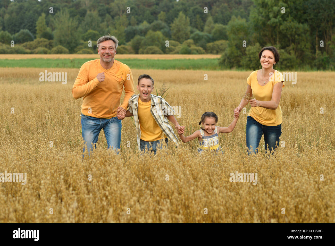 family in the green  summer field Stock Photo