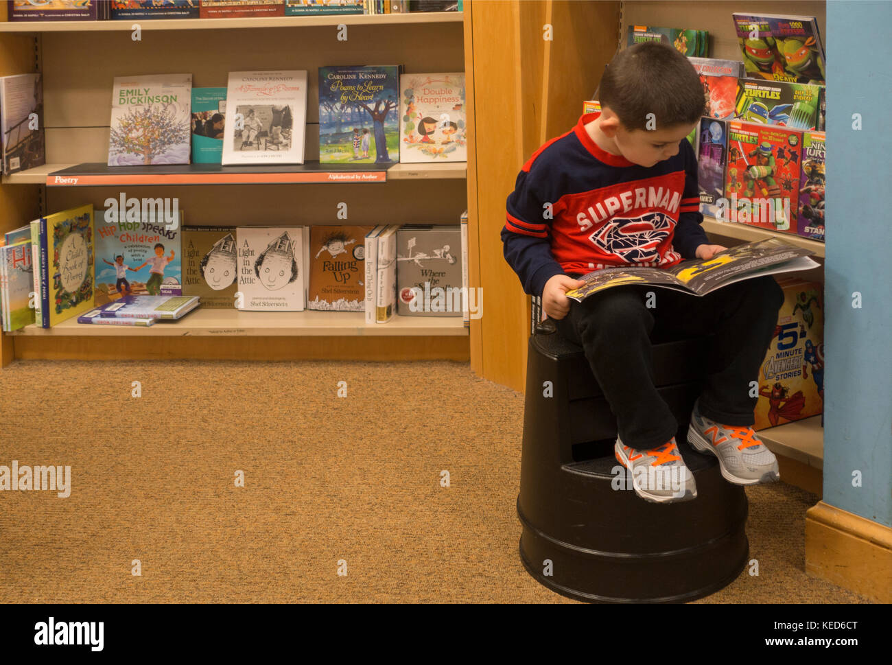 young boy reading in Barnes and Noble bookstore MA Stock Photo Alamy