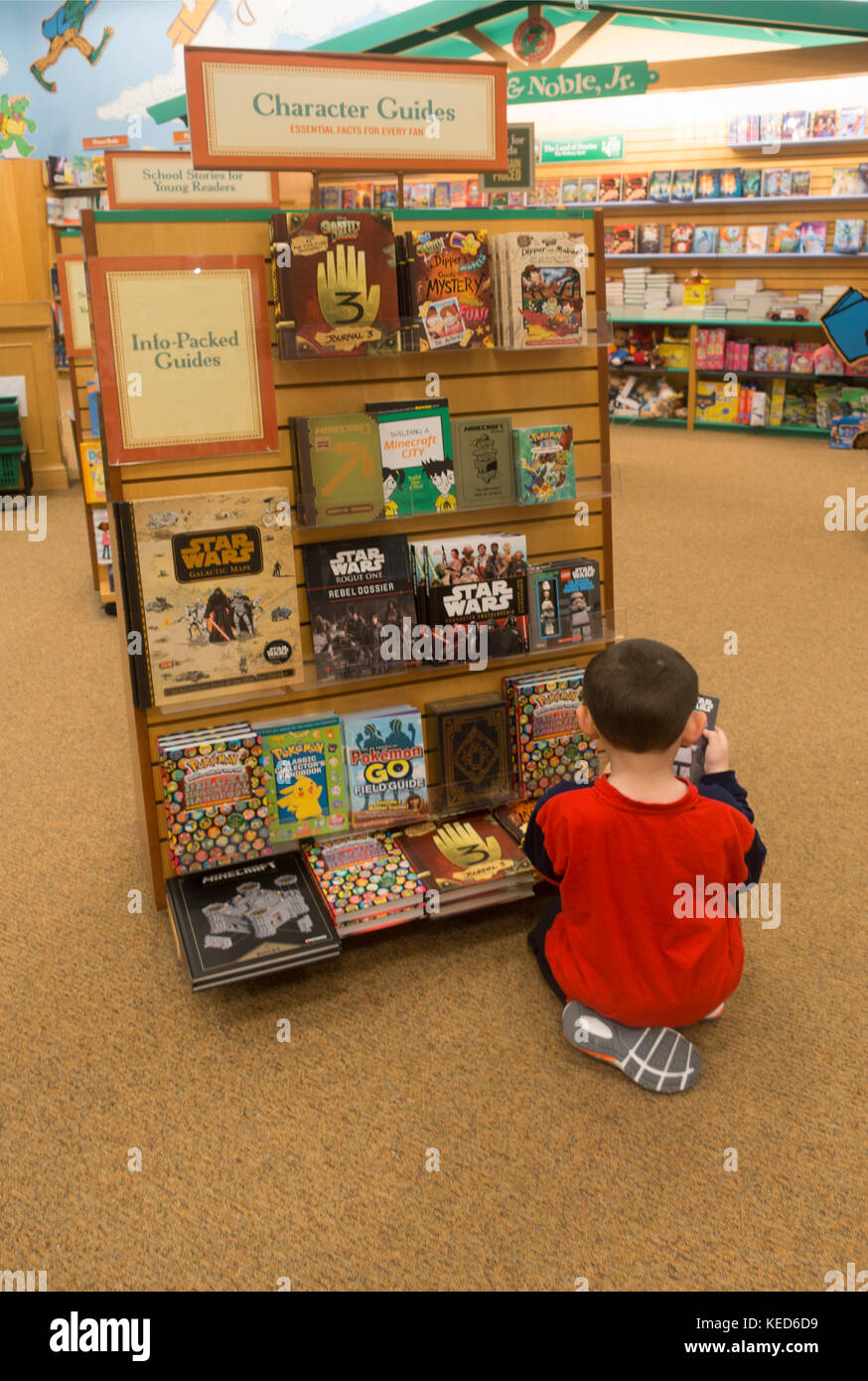young boy reading in Barnes and Noble bookstore MA Stock Photo Alamy