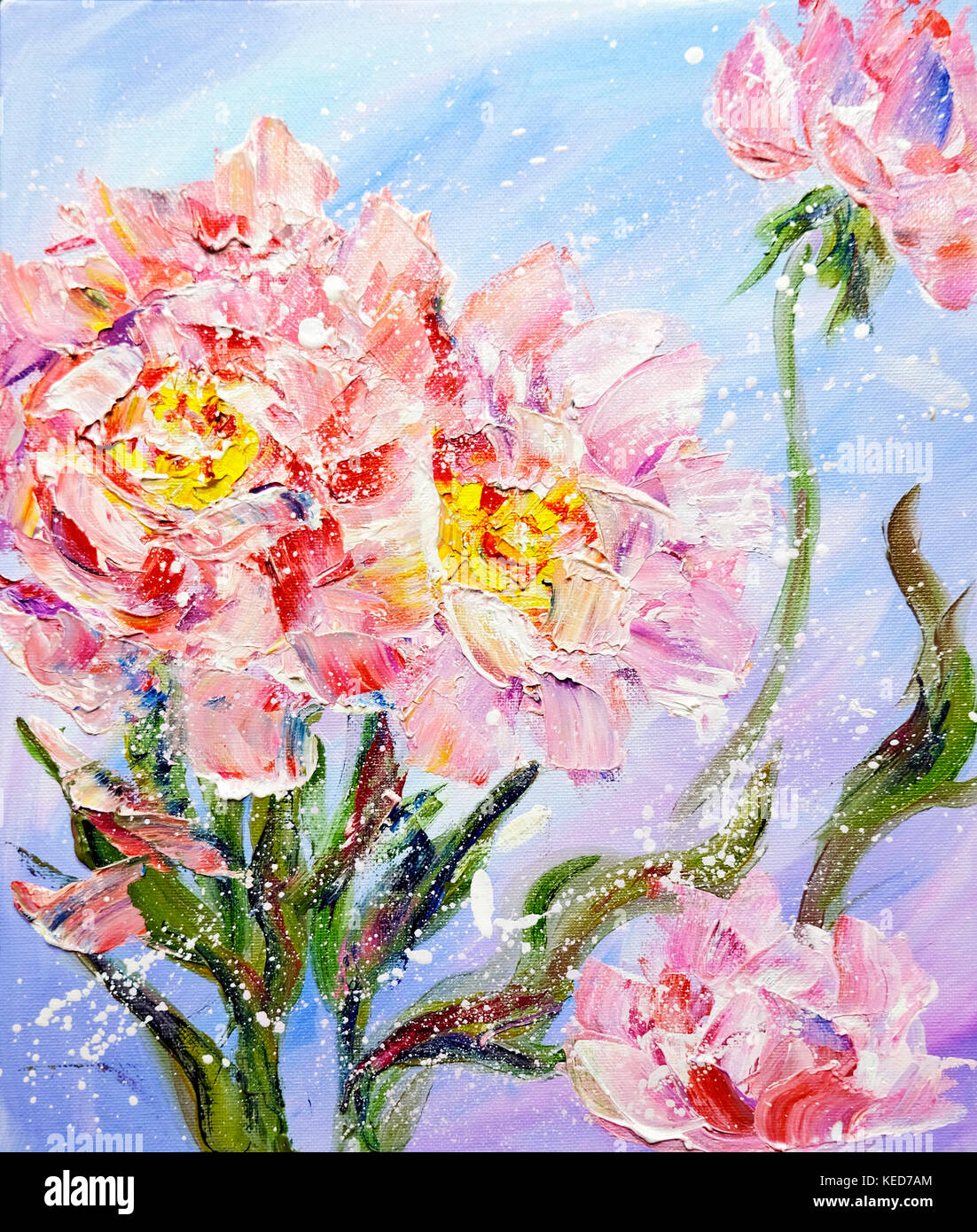 Hand painted modern style Pink peonies flowers. Stock Photo