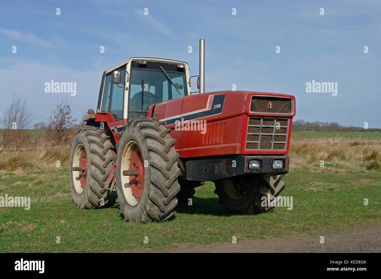 1981 Internation 3788 tractor Stock Photo - Alamy