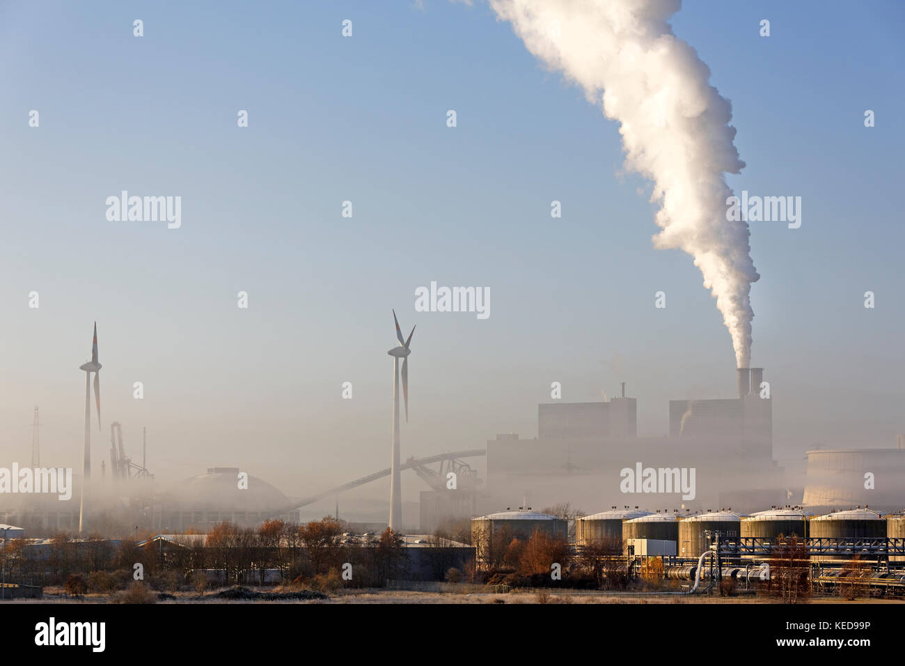 Coal-fired power plant, Moorburg, Hamburg, Germany, Europe Stock Photo
