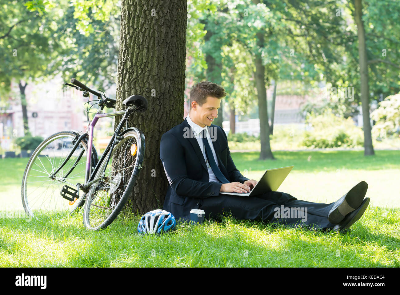 Smiling Young Male Businessman Using Laptop In Park Stock Photo - Alamy