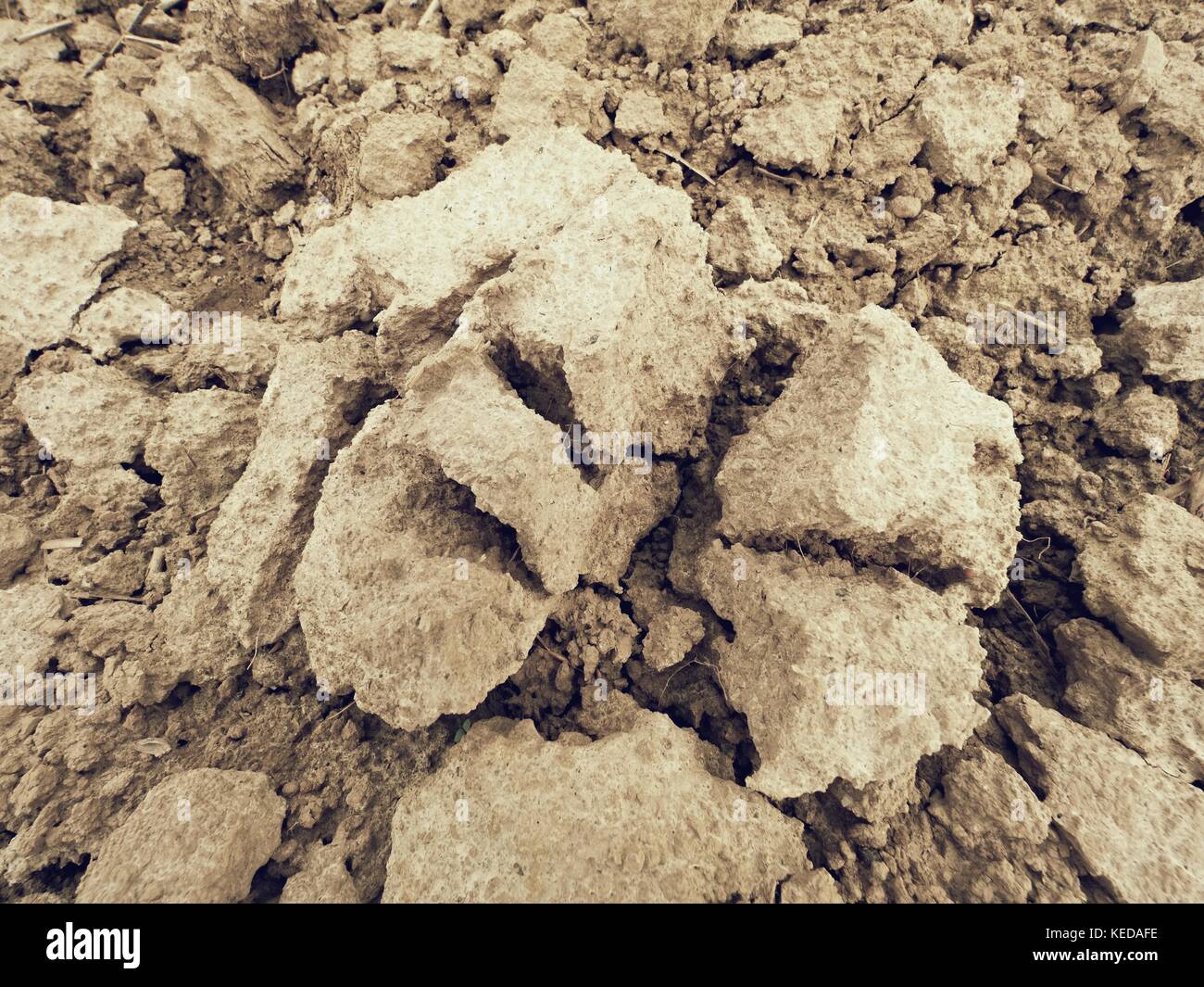 Dry dusty clay on the field. Empty plowed field waits for sowing. Dust from the dry clay wind