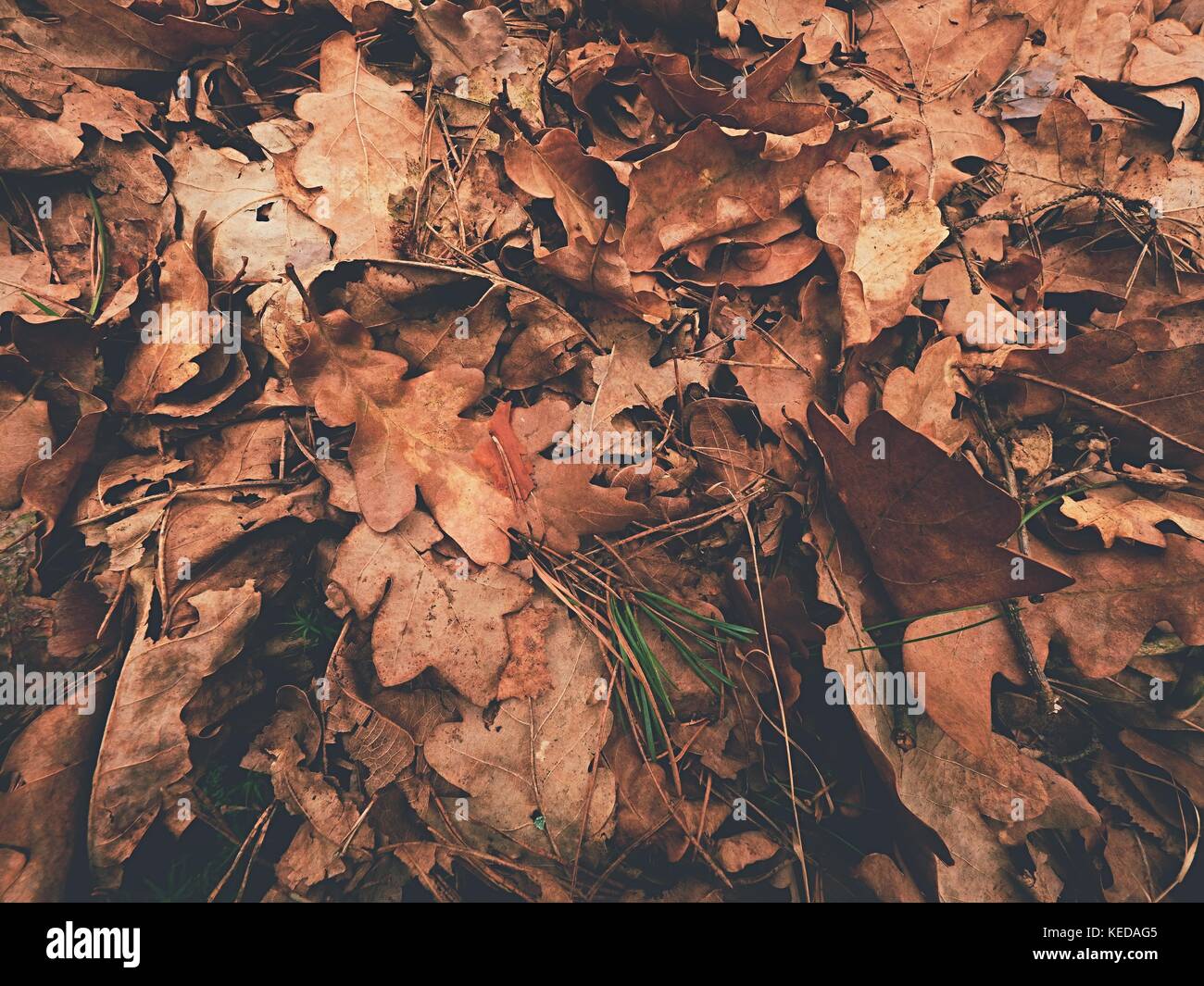 Faded red carpet hi-res stock photography and images - Alamy