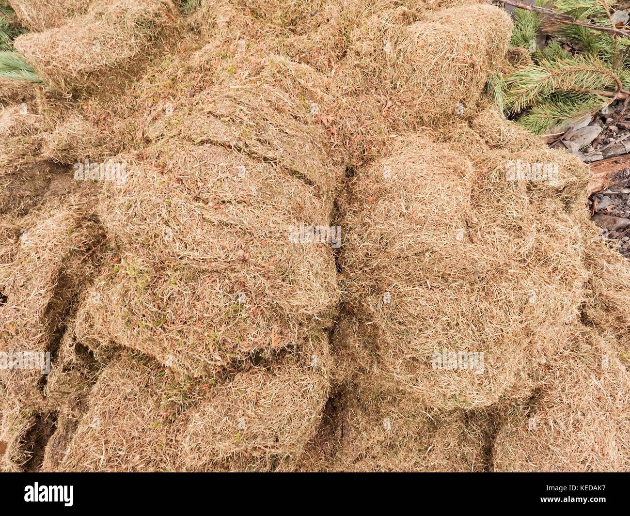 Corner of the hay field hires stock photography and images Alamy