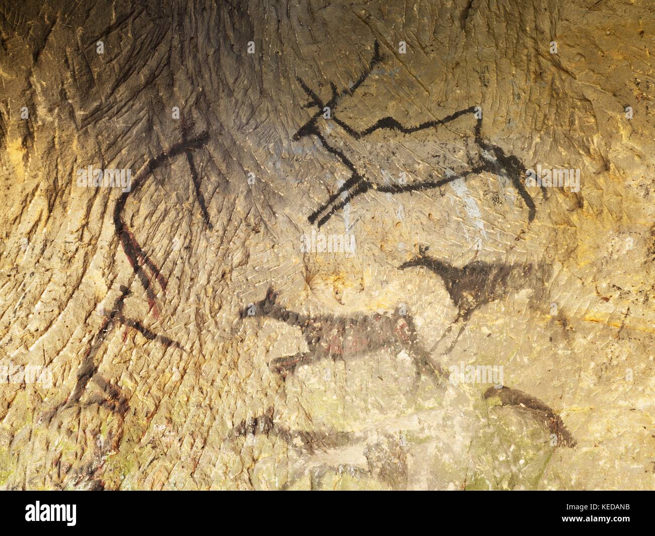 Discovery of prehistoric paint of caveman hunt in sandstone cave. Paint ...