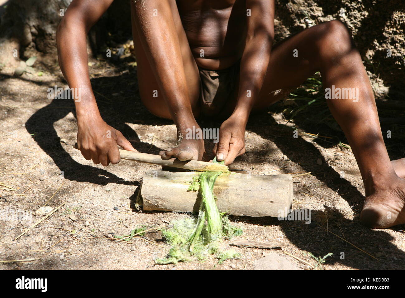 Buschmänner San people in Namibia - Volksstamm - making rope Stock Photo