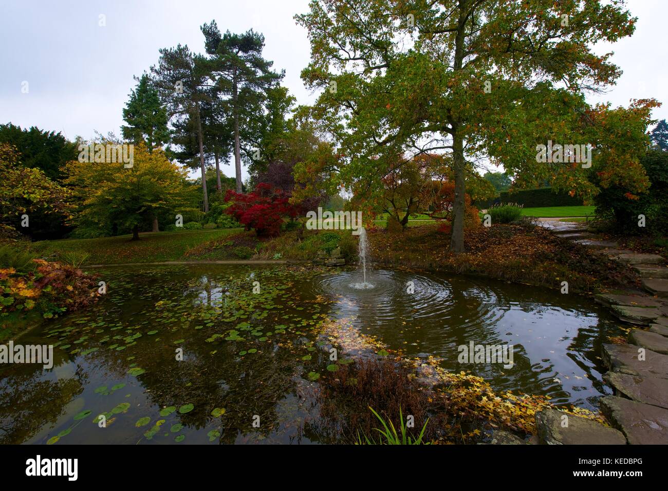 Chiltern Estate, National Trust Stock Photo Alamy