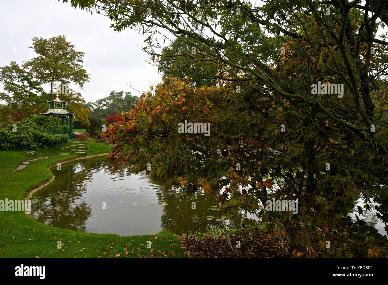 Chiltern Estate, National Trust Stock Photo Alamy
