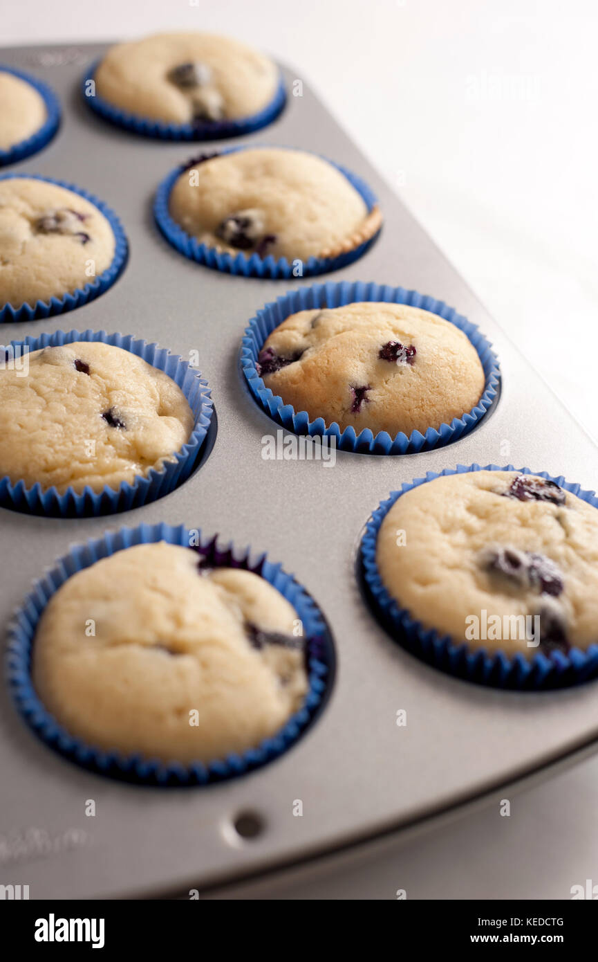 Blueberry cupcakes production Stock Photo