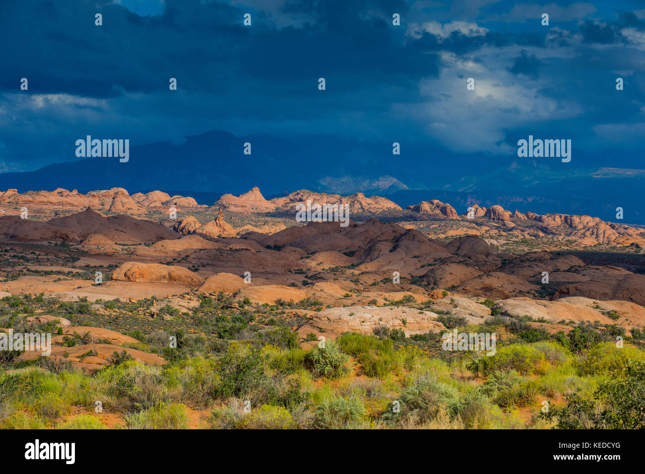 Petrified sand dunes in the Arches National Park, Utah, USA Stock Photo