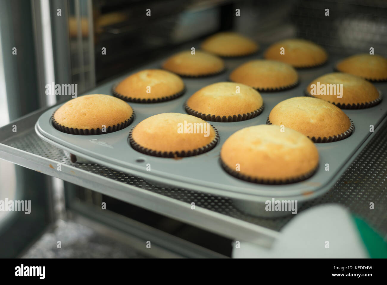 Cupcakes coming out of the oven Stock Photo